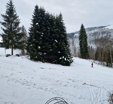 Berghof Appartement 11