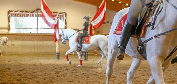 Stanglwirt riding school