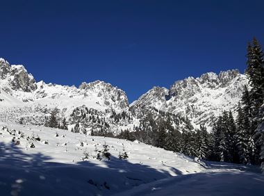 Winter wonderland