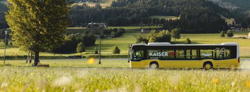 NaturTrip: Uw bestemmingsplanner